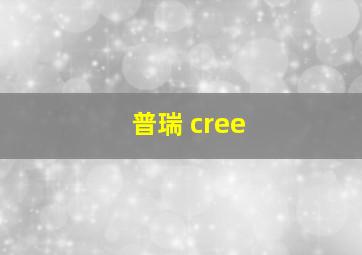 普瑞 cree